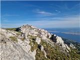 Jelova Ruja - Veliki Stolac