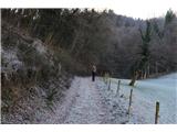 Lavričeva pot Po spustu se strmo dvigujeva v nasprotni breg. Tu je še vse pomrznjeno