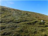 Seebergsattel - Krautgartenkogel
