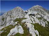 Vrh Žlebi / Monte Slebe