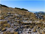 Planina Ravne - Veliki vrh (Veža)