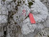 Zadnja Trenta (Flori) - Bavški Grintavec