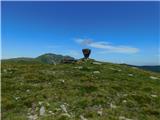 Oberfresen (Brendlwald) - Großer Frauenkogel