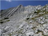 Bavški Grintavec