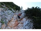 Sestop je precej zagruščen, nekje tudi skalnat
