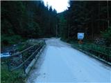 Javorje (Mala Črna) - Najevska lipa