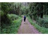 After a long, long time we are on a forest road