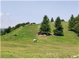 Danjarska planina