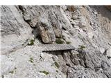 Monte Cristallino di Misurina Ključna točka zaključnega sestopa. Takoj za mostičem je na desni ferata, naravnost grapa