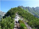 La AleGra - Monte Musi (western peak)