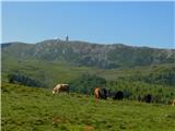 Še en pogled na Großer Speikkogel.