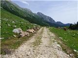 Drežniške Ravne - Planina Zapleč