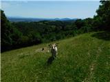 Pilštanj in Vina gora Na Vini gori.