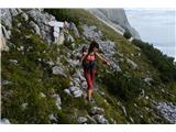 Monte Aiarnola - 2456 m Nepričakovano križišče. Poti v Auronzo ni videti, vse je zaraščeno