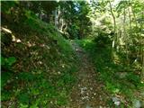 Podkraj / Unterort - Wackendorfer Spitze