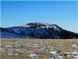 Sprungkogel (Golica / Koralpe)