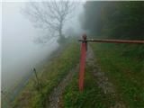 Aflenz Kurort (Bürgergraben) - Hochstein (pri Mitteralm)