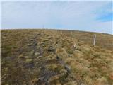 Parkirišče Hoyer (Neuhofgraben) - Lärchkogel (Glinska planina / Gleinalpe)