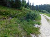 Smučišče Koralpe (Koralpenparkplatz) - Seespitz (Koralpe)