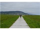 A thousand and one variants of the paved path
