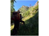 Sopra il limite del bosco il sentiero mulattiero scompare