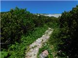 Raxalm-Berggasthof (Rax) - Heukuppe (Rax)