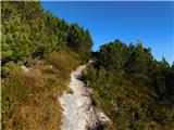 Planina Ravne - Veliki vrh (Veža)