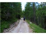 Čaka naju dolga in ovinkasta cesta do sedla Forcella Dignis
