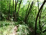 Planina Polog - Žlejžn