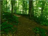 Čatež ob Savi - Sveti Vid (Šentviška gora)