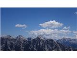 in cima.
