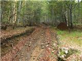 Pod Hlipovcem - Veliki Travnik (Turnovka)