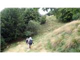 steeply