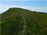 Oberfresen (Brendlwald) - Kleiner Speikkogel (Golica / Koralpe)