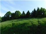 Sevnica - Ješivec