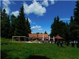 Pivola (Botanični vrt Univerze v Mariboru) - Pivola (Botanični vrt Univerze v Mariboru)