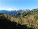 Hochstein (1741 m) in Windgrube (1809 m) Nižje imajo macesni še nekaj iglic.