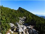 Pod Snežno jamo - Velika Raduha