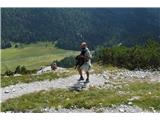 Monte Cristallino di Misurina Takole se nosijo hišni ljubljenčki :)