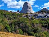 Stapina