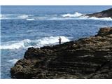 Seen several times already. In the foamy coastal waters they mainly catch sea bass, striped bream and baile