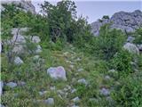 Ljubotić (Sv. Ante) - Planinsko zavetišče Tatekova koliba