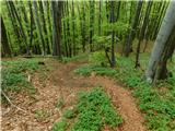 Gračnica - Sveti Lovrenc (nad vasjo Okroglice)