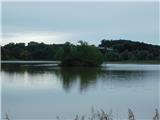 Gajševsko jezero in grad Branek Gajševsko jezero z otočkom.