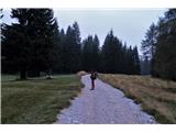 Monte Aiarnola - 2456 m Po prijetni makadamski cesti hodiva mimo planin nad Auronzem