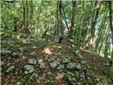 Okrugljak