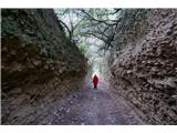 Camino Invierno - zimska pot Zelo zanimivo speljana cesta. Prav rad bi vedel njeno zgodbo ...
