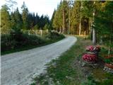 Alpl (Waldschulle Alpl) - Edelweißhütte auf der Waldtonialm