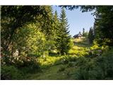 Orožnova koča planina iza Lisce