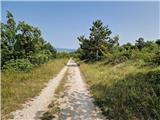 Crveni Vrh - Markovac